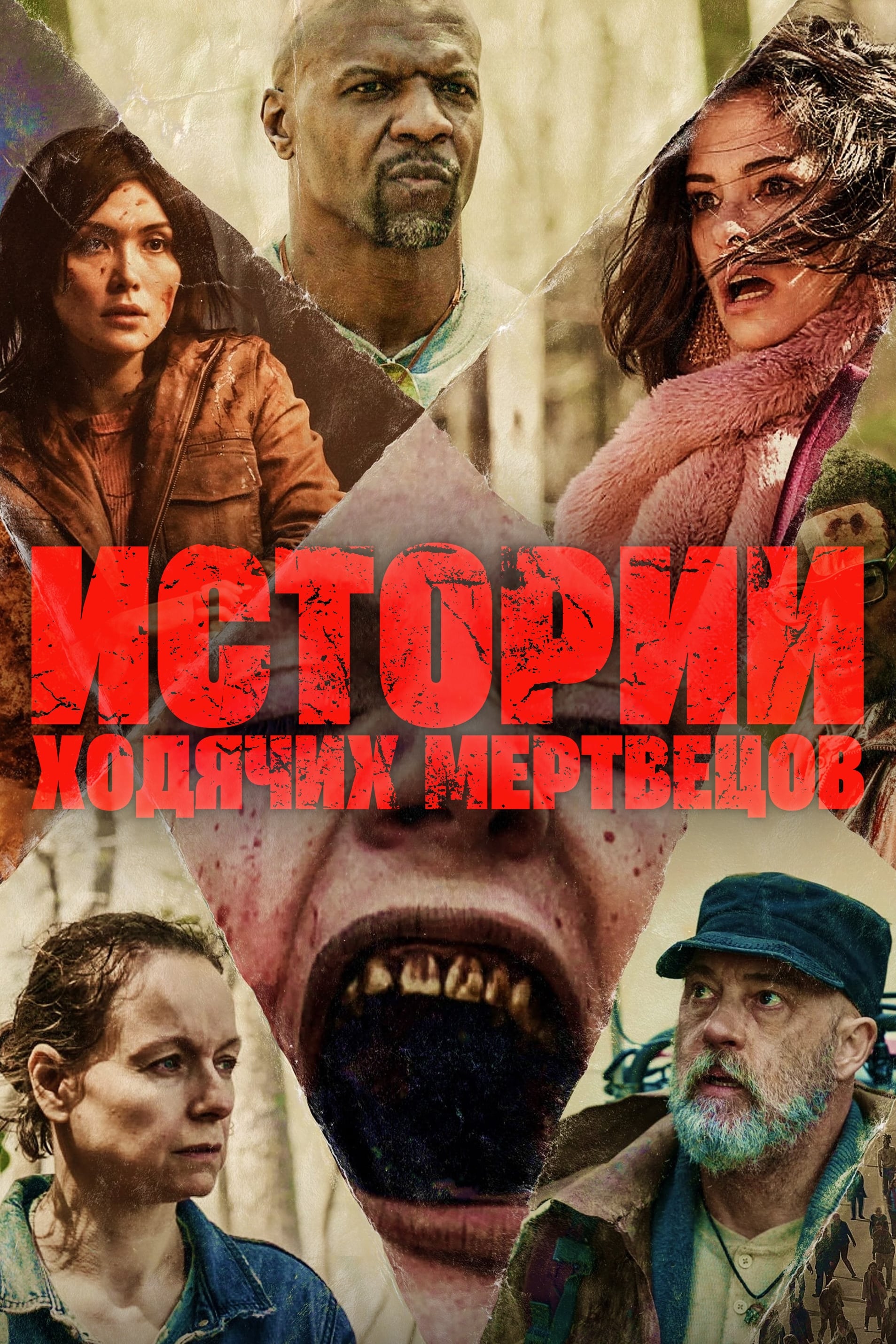 Истории ходячих мертвецов постер